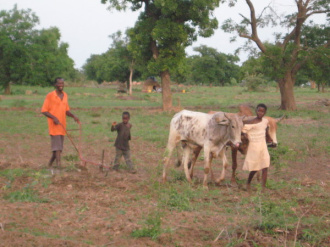 01 Labeur Au Labour